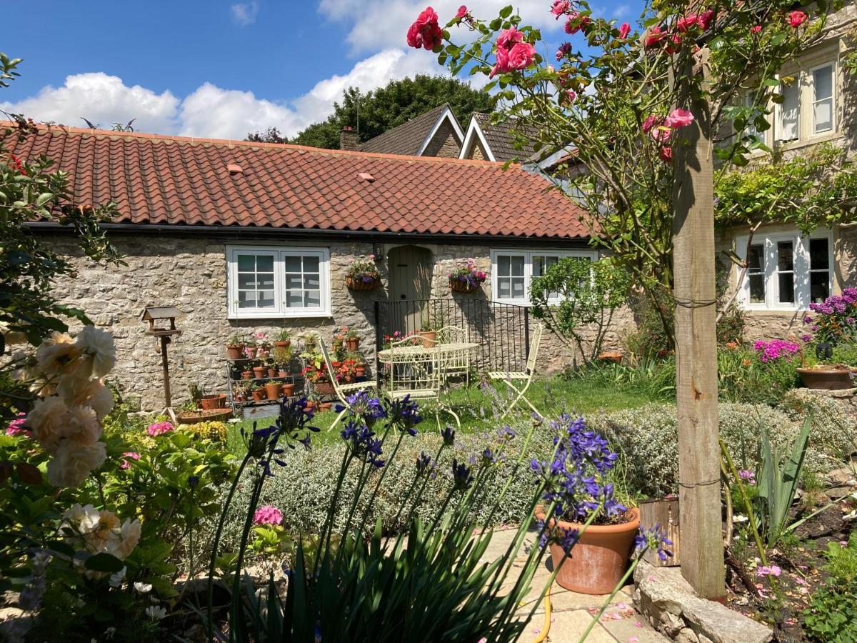 Maplestone Couette-café Shepton Mallet